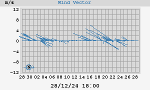 Wind Vector