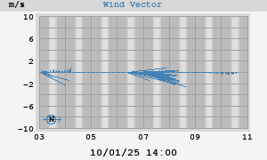 Wind Vector