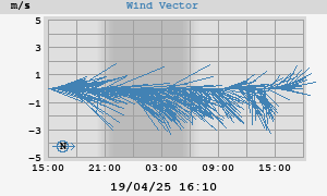 Wind Vector