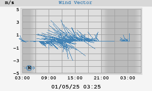 Wind Vector