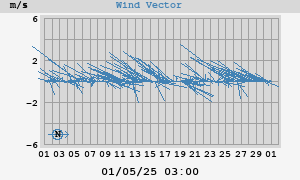 Wind Vector