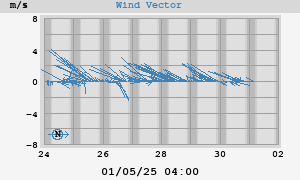 Wind Vector