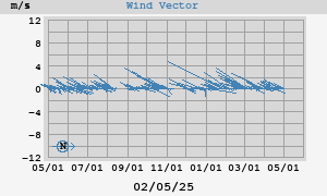 Wind Vector